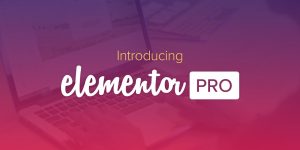 berapa harga elementor pro