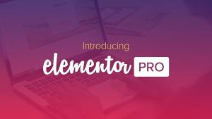 berapa harga elementor pro